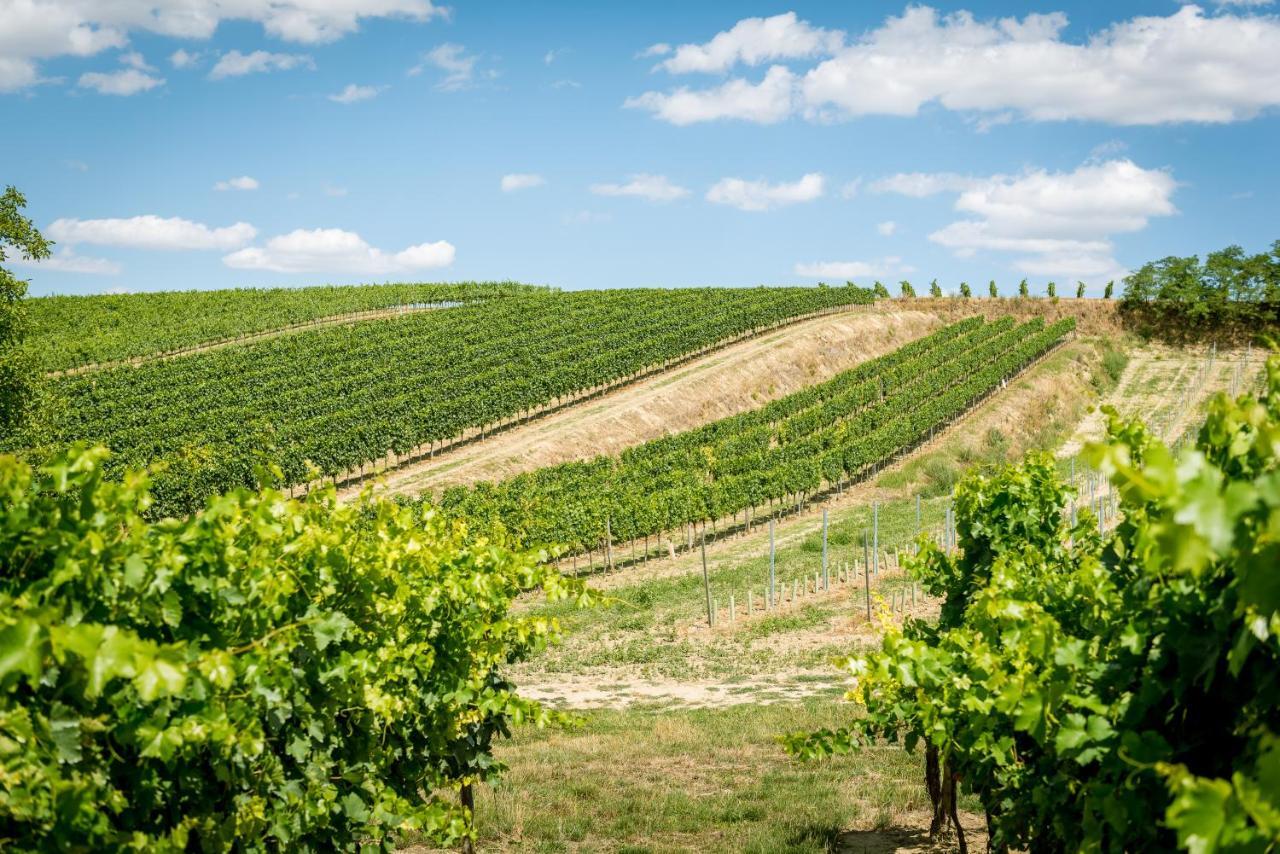 Weingut Burger Otel Kalladorf Dış mekan fotoğraf